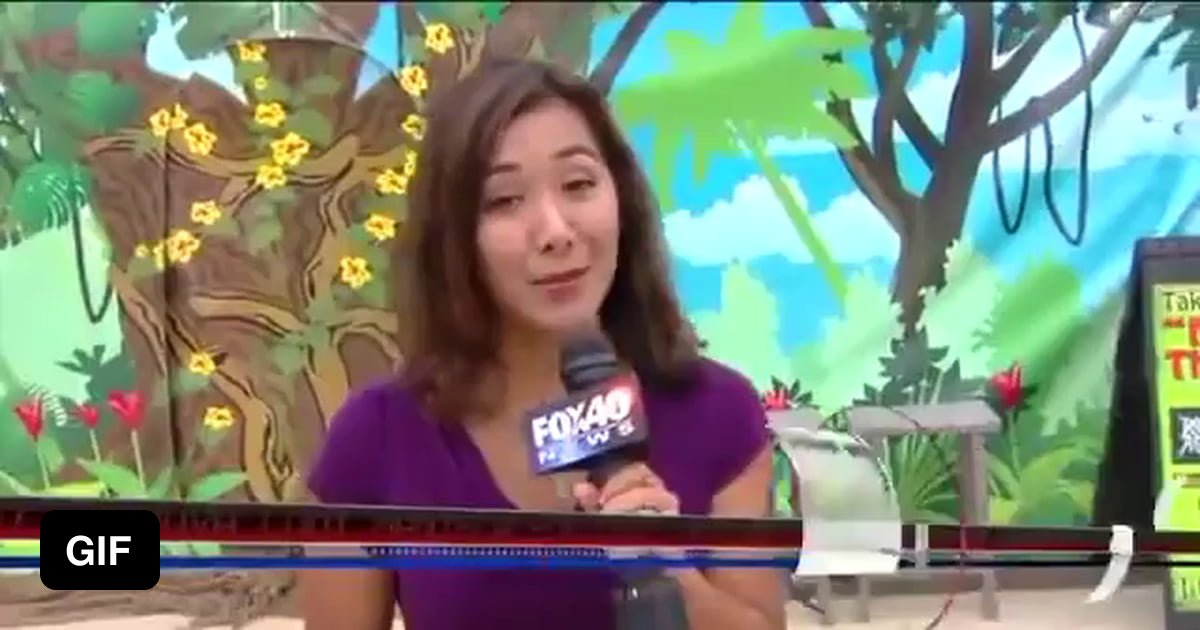 "Everybody back off, she's mine" 9GAG