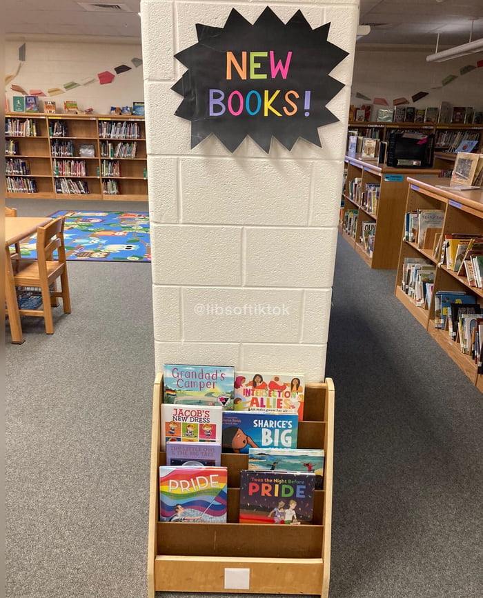 just-a-primary-school-library-nothing-to-see-here-9gag