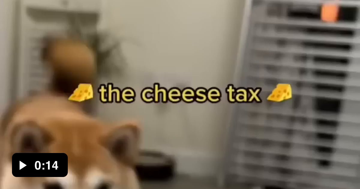 Don't to pay the cheese tax on time 9GAG