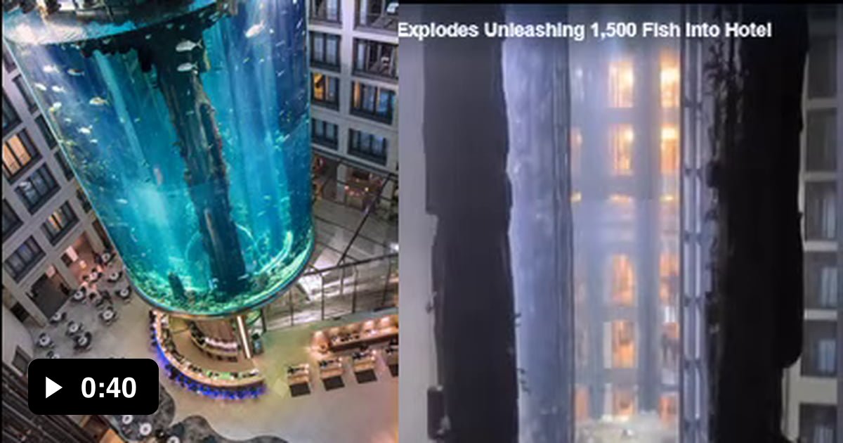 264,000 gallon aquarium containing 1,500 fish shatters in Berlin hotel