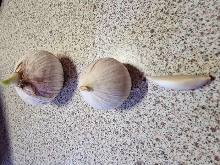 Recipe "Add two cloves of garlic." Well don't mind if I add the breath