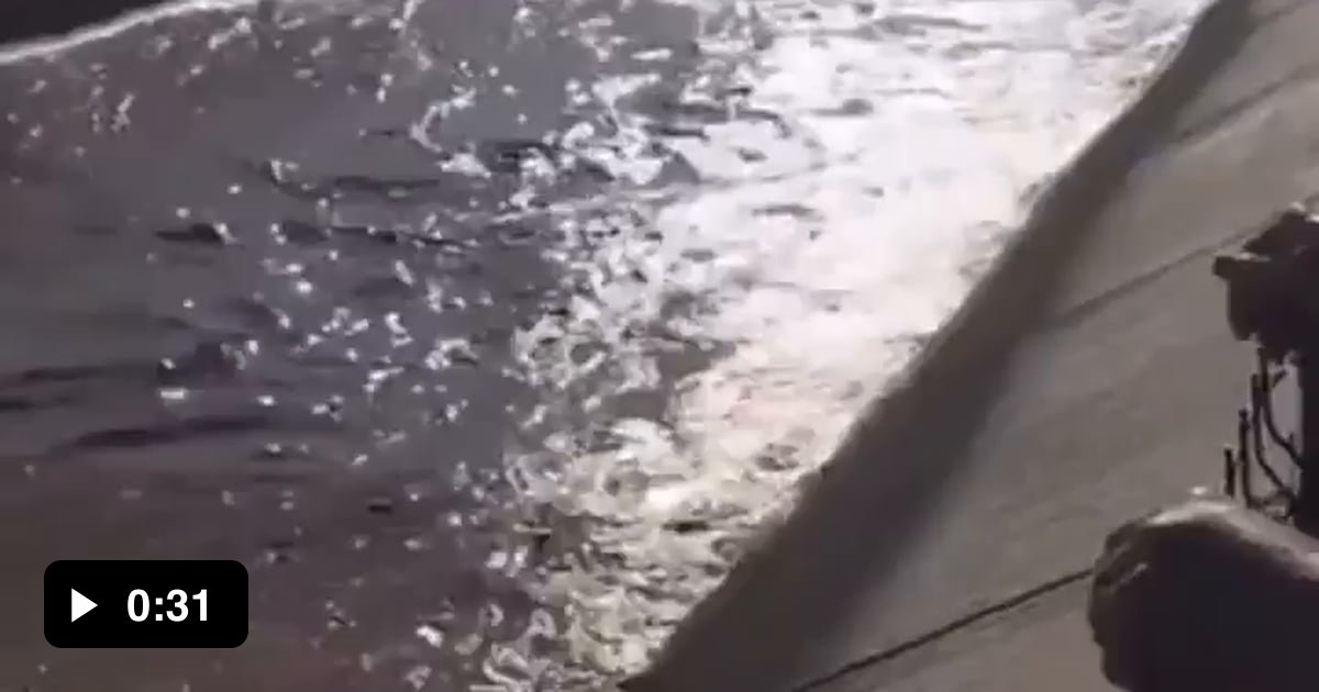 Operator saves cow from drowning with pinpoint accuracy - 9GAG