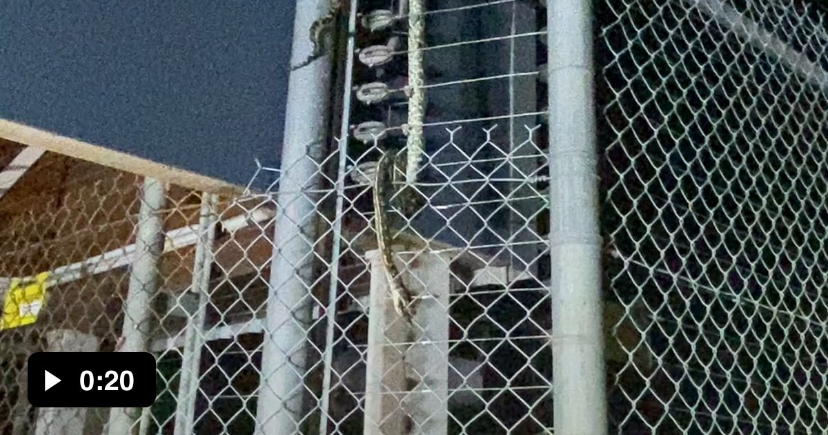 Australia, it’s so dangerous that we have electric fences to keep the