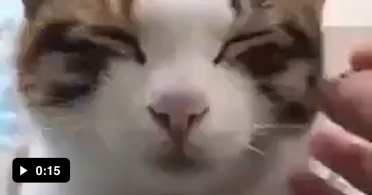 Oh no, she accidentally hit the off button - 9GAG