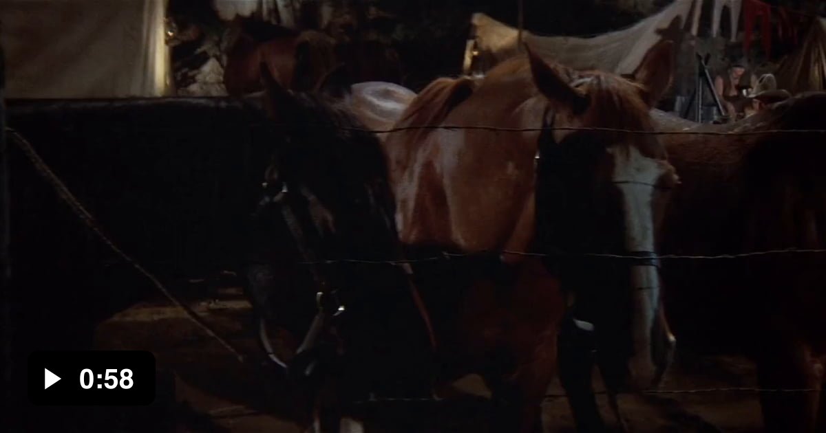 blazing saddles sisters