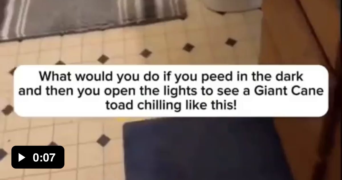 Of A Toad Gag