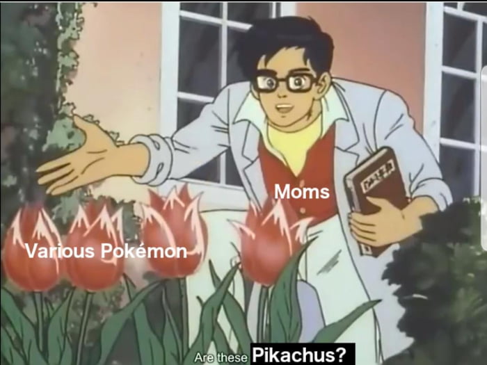 pokemon your mom