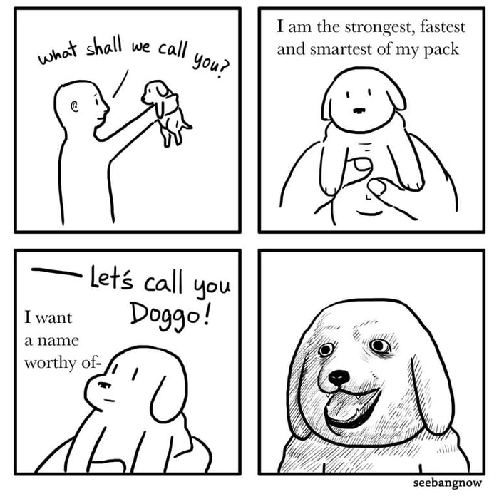 Name your dog well - 9GAG