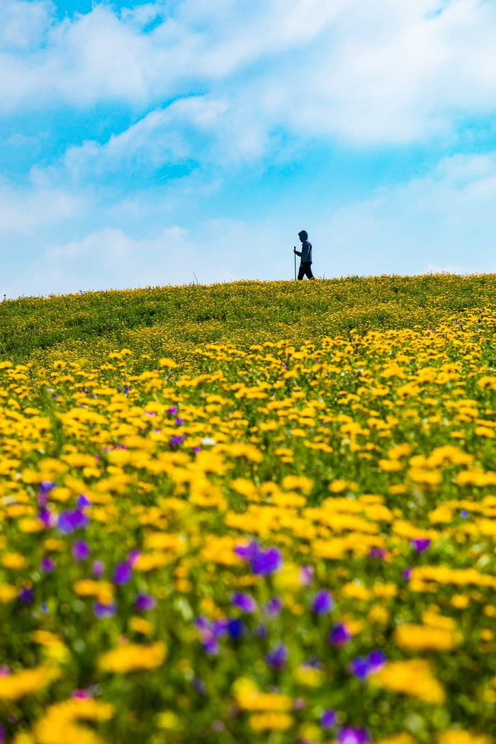 Spring In Lebanon - 9GAG