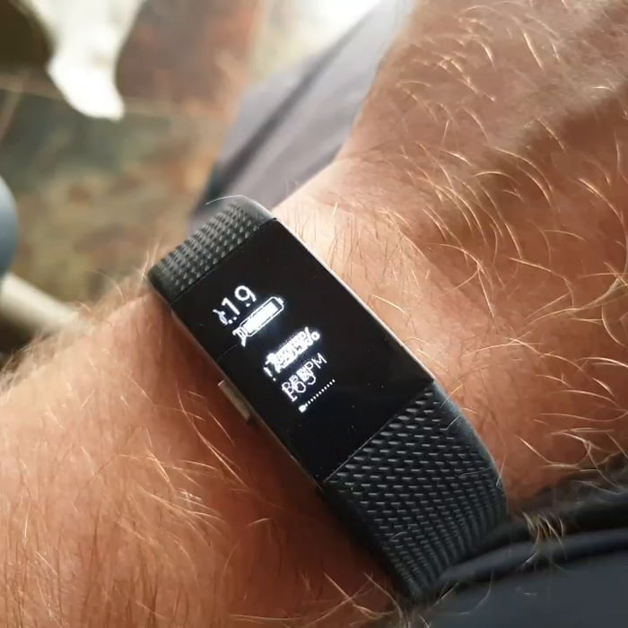 fitbit maintenance