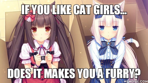 If you like cat girls. Does it makes you a furry? - 9GAG