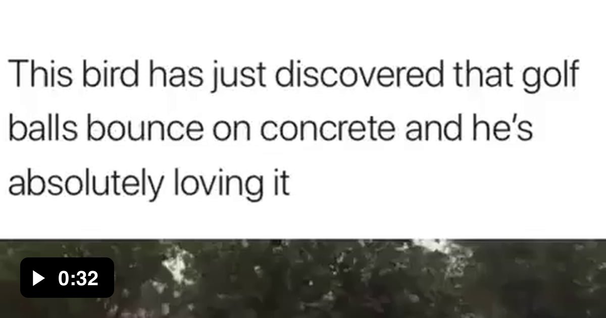 Why this f**king egg doesn't break? 9GAG