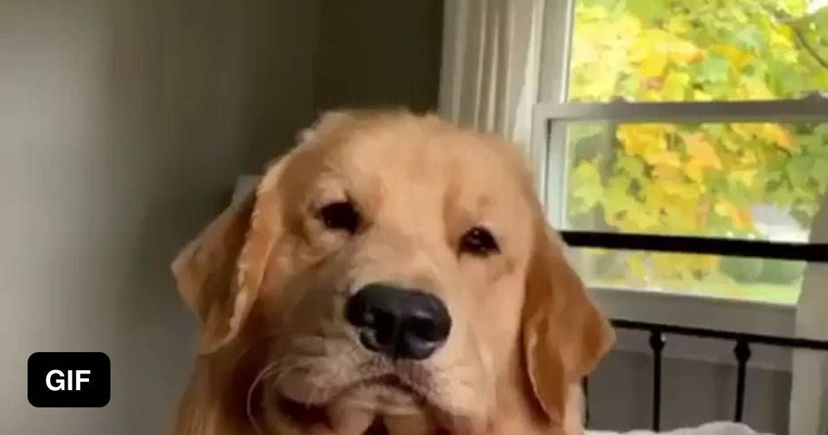 Spicy sky raisin strikes back 9GAG