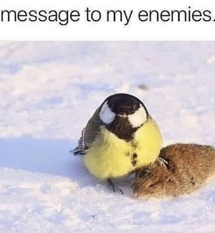 Is this the way to treat a messenger? - 9GAG