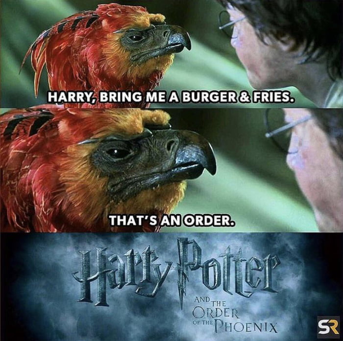 The Order, of the Phoenix - 9GAG