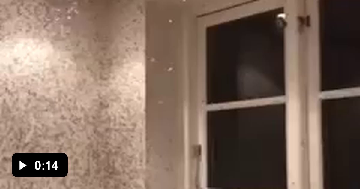 Leaving your window open and lights on at night... 9GAG