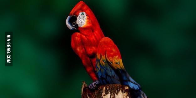 body painting parrot