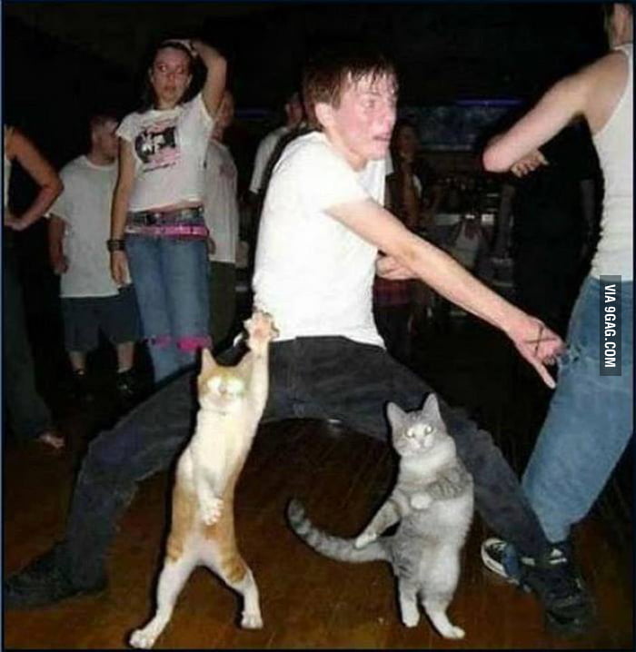 Party Hard Or Go Home 9gag