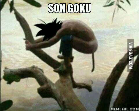 Son Goku What Are You Doing Man 9gag