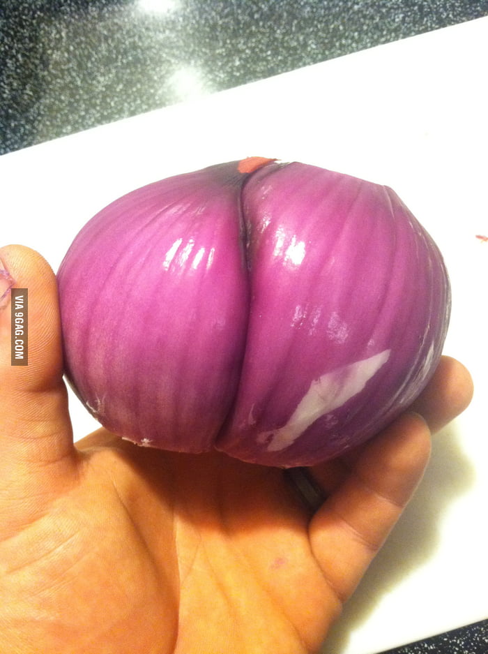 New onion booty