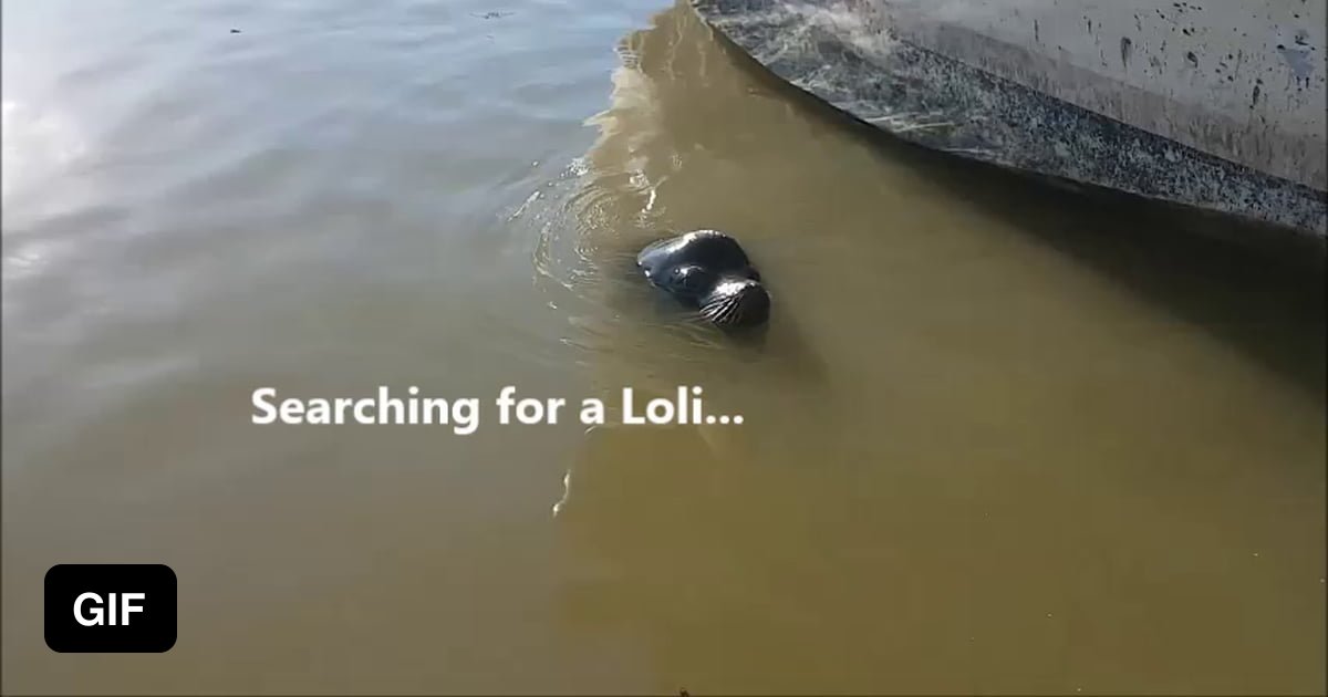 HENTAI : Sea Lion rape a Loli (gone too far)