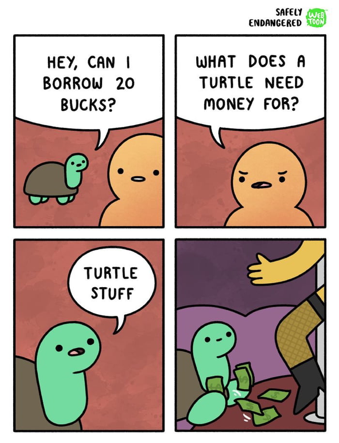 I like turtles - 9GAG