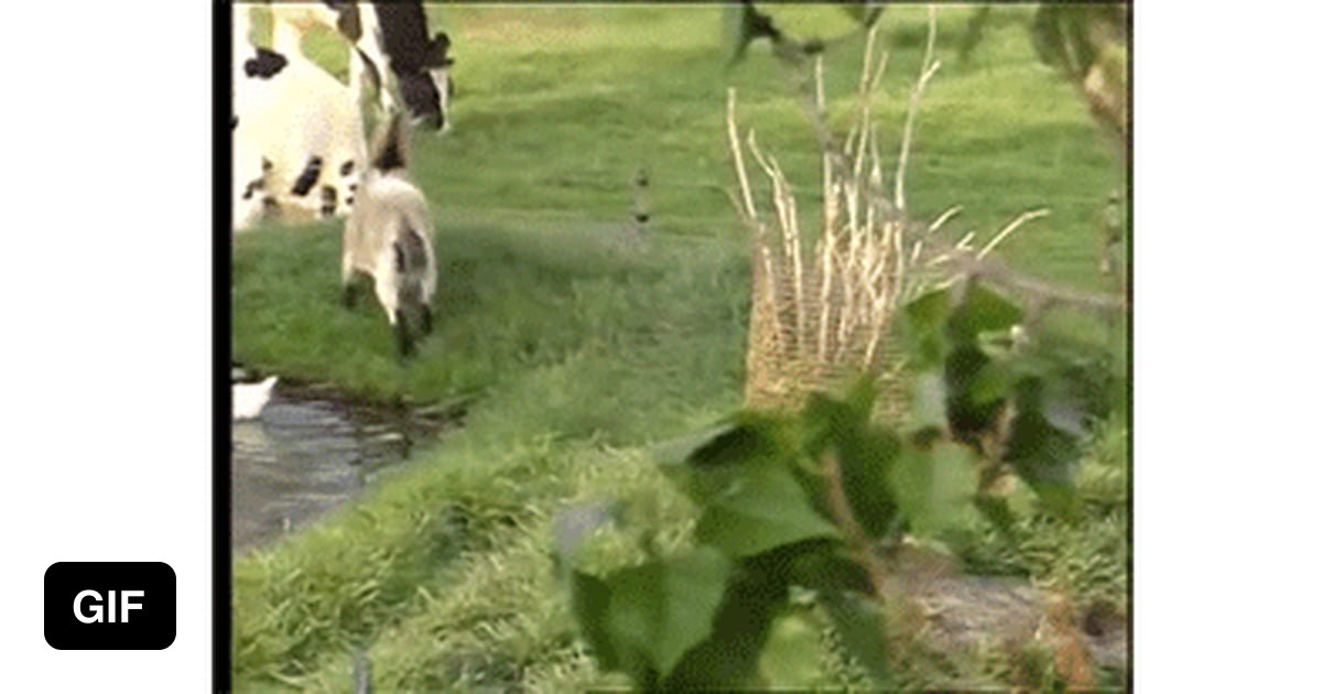 I Ain't Afraid Of No Ghost Gif
