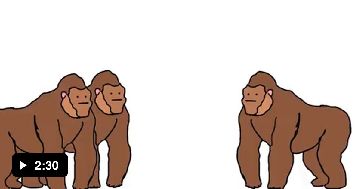 Monkeys - 9GAG