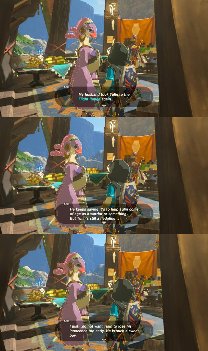 Line of dialogue from BOTW that made me go 