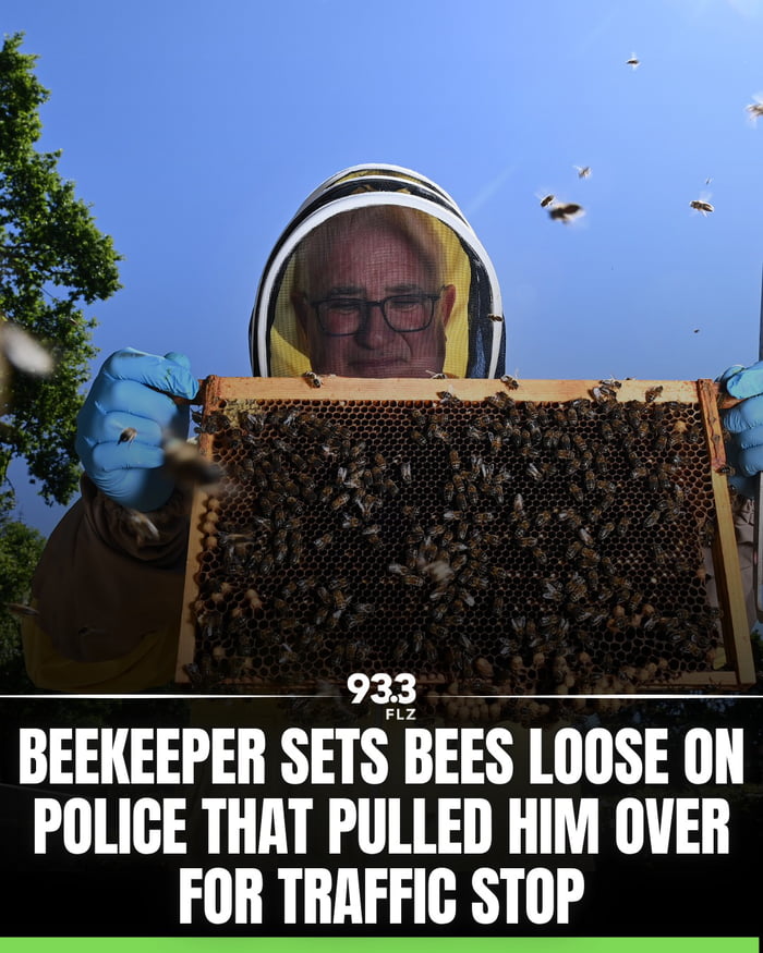 A STING operation! - 9GAG