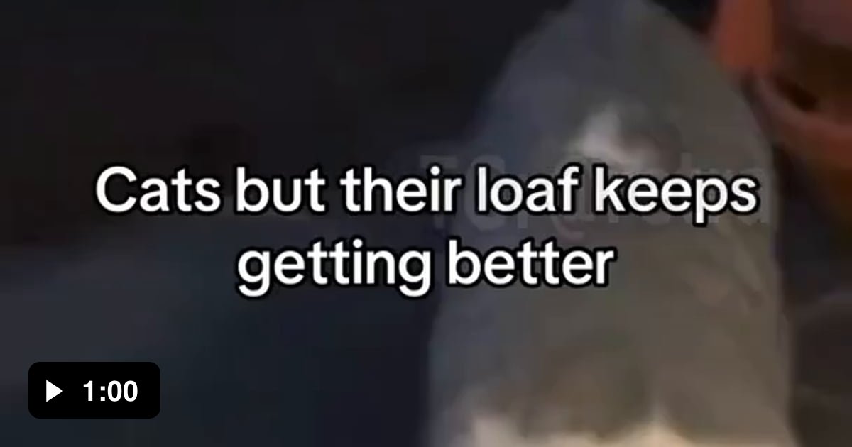 Another Cat Post - 9GAG