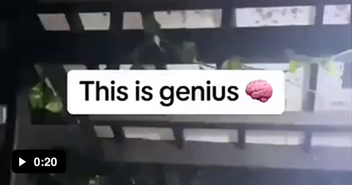 Flashlights And Insects Using A Phone Flashlight To Lead The Insects Away - 9GAG
