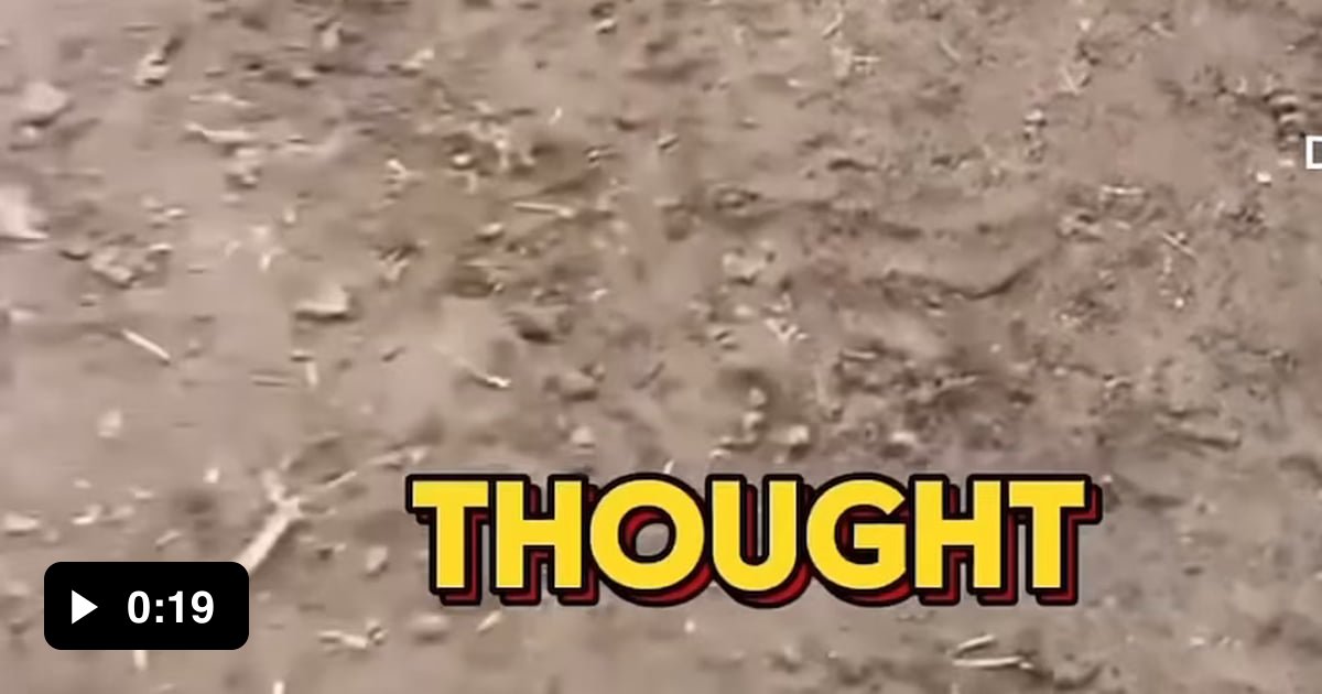 Rat i will show you how great i am 9gag