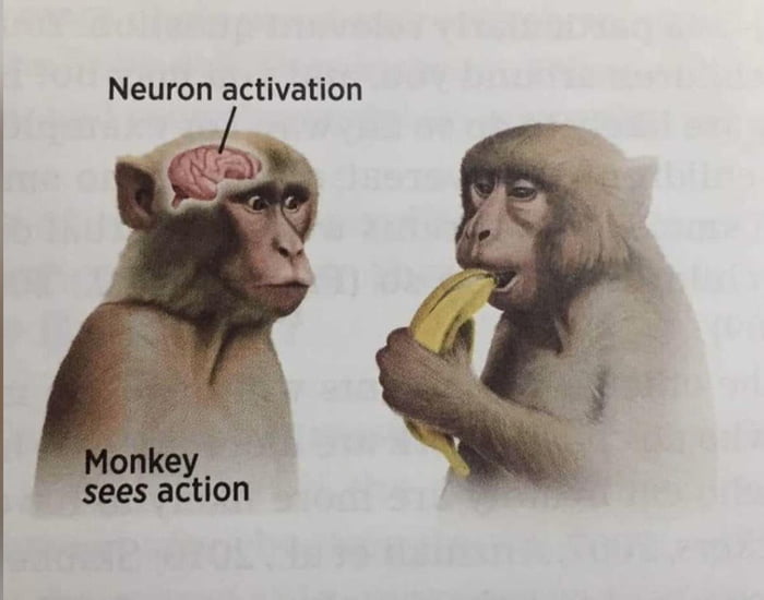 Return to Monke