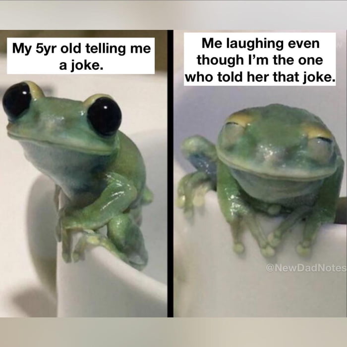 Why do cows have bells? cause their horns don’t work ) 9GAG