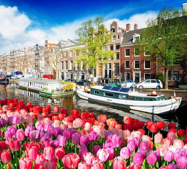 hey-guys-i-am-going-to-study-masters-in-netherlands-this-year-any-tips
