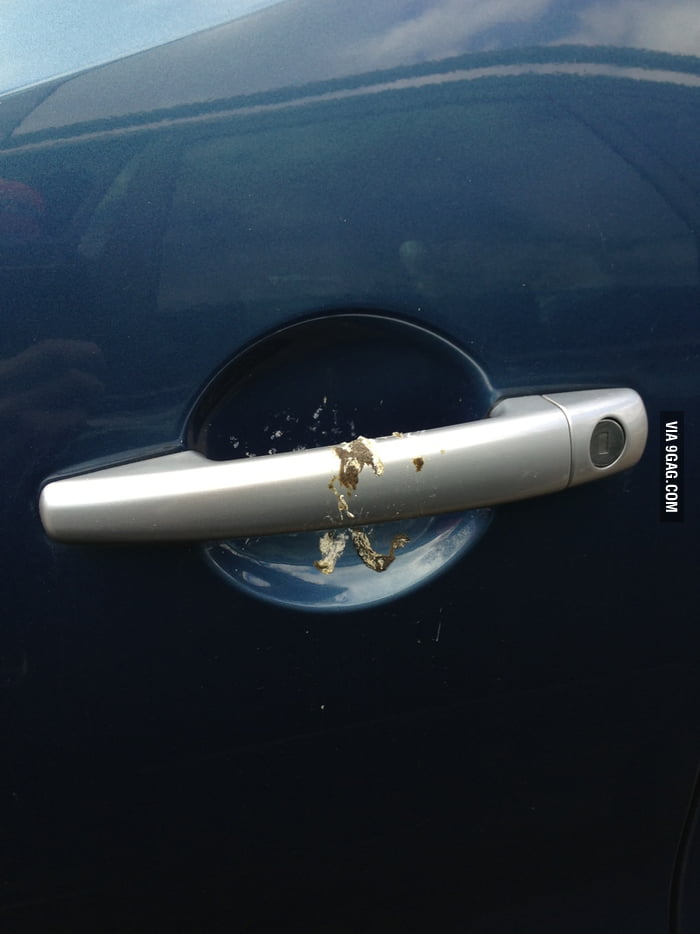 Bird Poo Accuracy 2.0 9GAG
