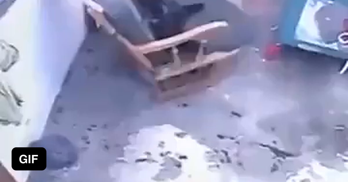 Cat blocks and prevents a baby from crawling to a fatal fall down some
