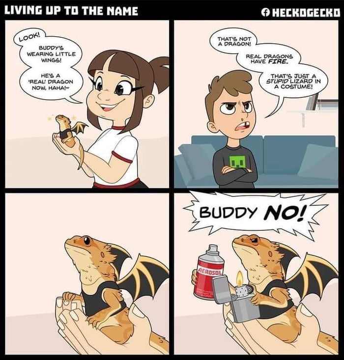 don-t-you-mess-with-the-dragon-9gag