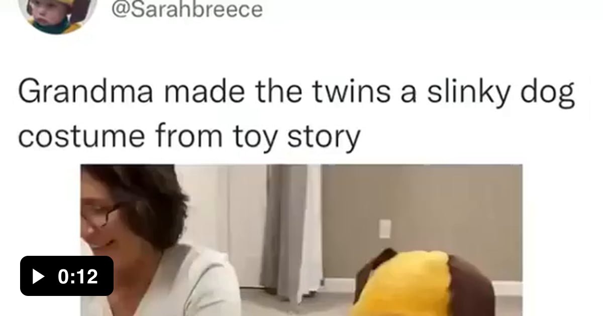 twins toy story dog costume