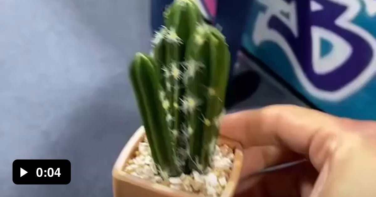 Very Thoughtful Gift Meaning