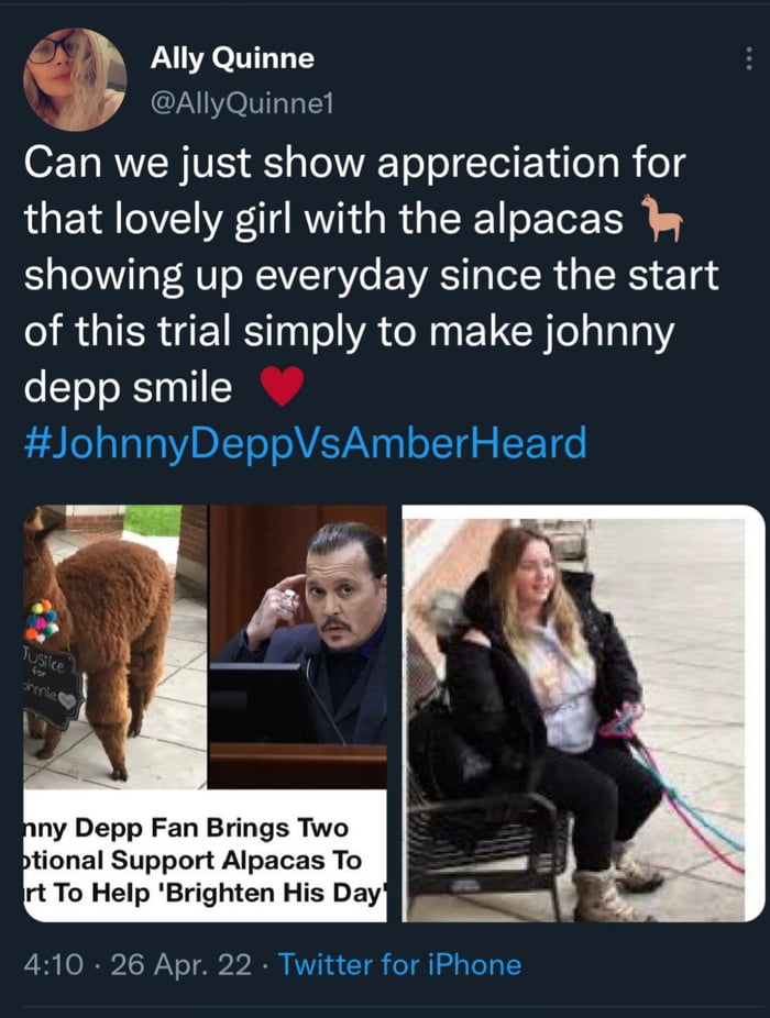 This Lovely Girl Who Brought Johnny Two Emotional Support Alpacas Gag