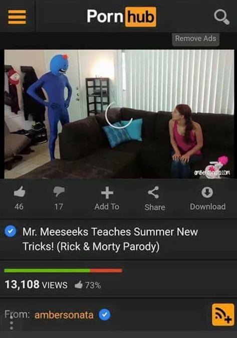 Mr Meeseeks Rule 34