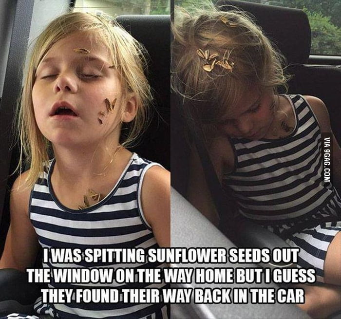 Spitting sunflower seeds out the car window gone wrong.. 9GAG