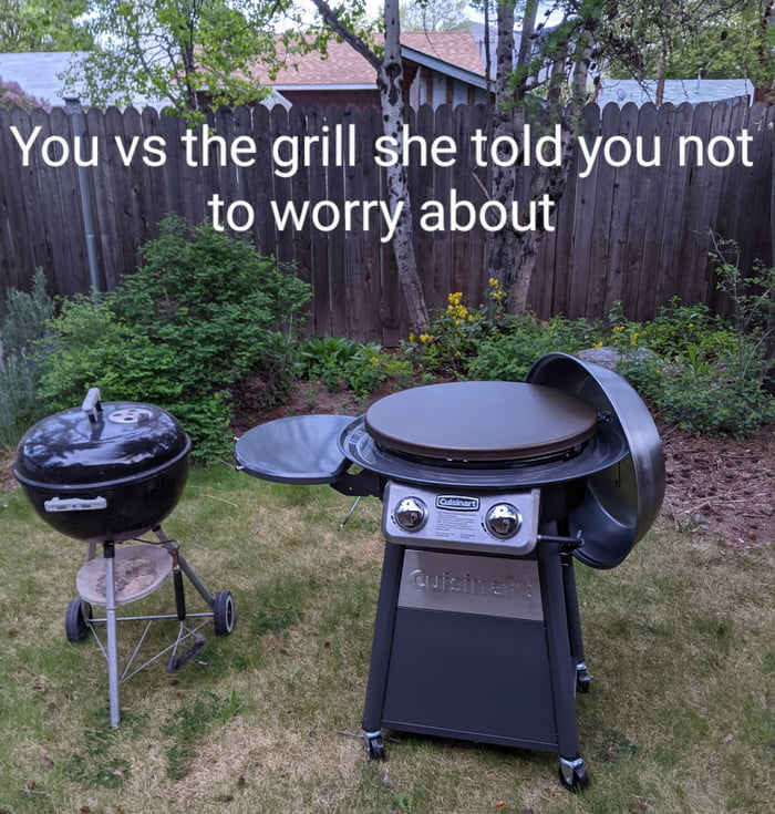 Propane vs charcoal, flat top vs actual grill, the beauty is either one
