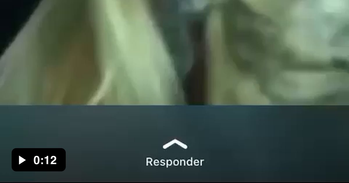 Dog kisses