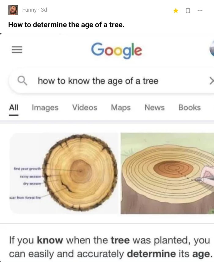 How to find out the age of the tree 9gag