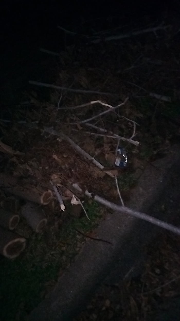 I was walking my dog and found a whole bunch of sticks, needless to say