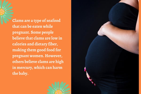 can-pregnant-women-eat-clams-and-clam-chowder-pregnancy-food-checker