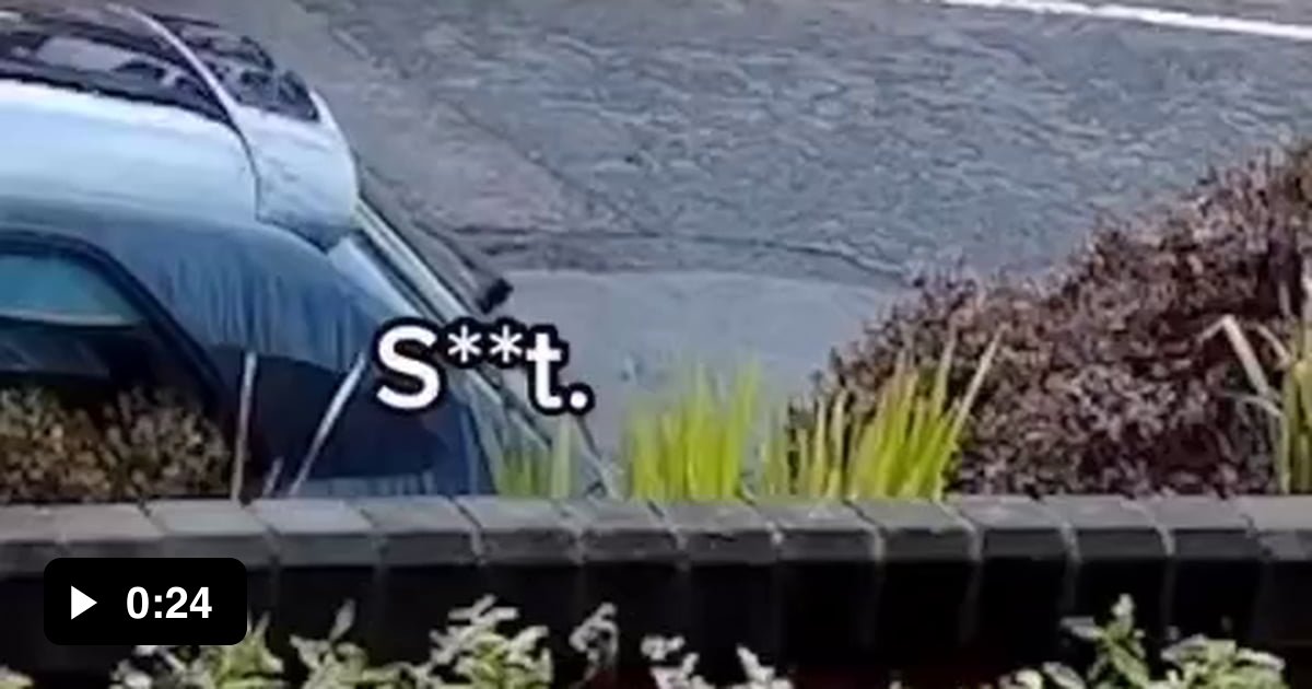 This is why dogs shouldn't be allowed to drive. 9GAG